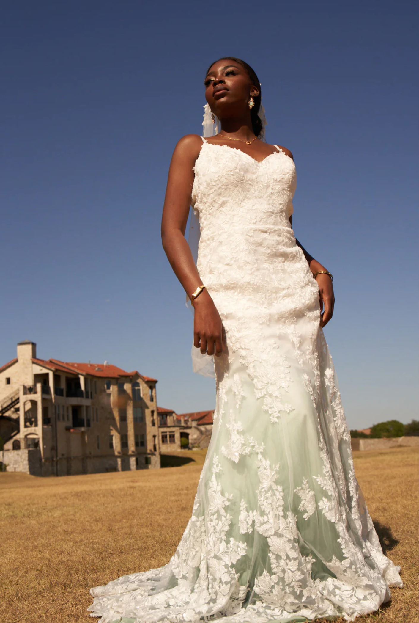 Sample Dyeing Promotion for NEW Renegade Dye Affiliates